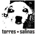 Profile picture torressalinas.bsky.social