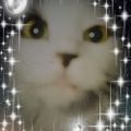 Profile picture weedyone.bsky.social