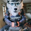 Profile picture rylefenris.bsky.social