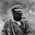 Profile picture sancho.bsky.social