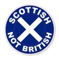 Profile picture haunsupforindy.bsky.social
