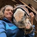 Profile picture wikkedgoodfarm.bsky.social