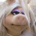 Profile picture regulardragon.bsky.social
