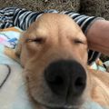 Profile picture bbgglady.bsky.social