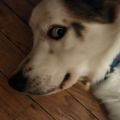 Profile picture wisdom-zach.bsky.social