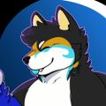 Profile picture niho-seawolf.bsky.social
