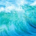 Profile picture oceanbluestar.bsky.social