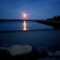 Profile picture tidepools111.bsky.social