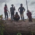 Profile picture dansut196.bsky.social