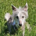Profile picture walkingtaako.bsky.social