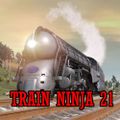 Profile picture trainninja21.bsky.social
