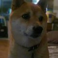 Profile picture ism58.bsky.social