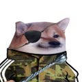 Profile picture fellafromprague.bsky.social