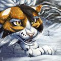 Profile picture novashadowart.bsky.social