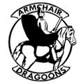 Profile picture armchairdragoons.bsky.social