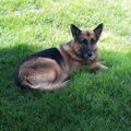 Profile picture alexand92840726.bsky.social