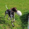 Profile picture windmolenjonge.bsky.social