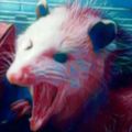 Profile picture possumgrease.bsky.social