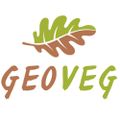Profile picture geovegub.bsky.social