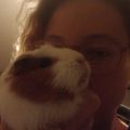 Profile picture liloolekoala.bsky.social