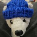 Profile picture bluedog64.bsky.social