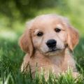 Profile picture clearskyvalley.bsky.social