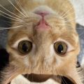 Profile picture gabbyslilcreatures.bsky.social