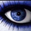 Profile picture lindaworkerbee.bsky.social