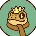 Profile picture toadkingstudios.bsky.social