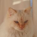 Profile picture radsci.bsky.social
