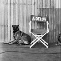 Profile picture delonsociety.bsky.social