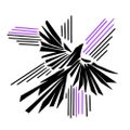 Profile picture cosmicverona.bsky.social