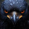 Profile picture neoberk.bsky.social