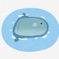 Profile picture sakanafurikake.bsky.social