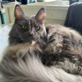 Profile picture carolinedesnoettes.bsky.social