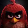 Profile picture angelovestieri.bsky.social