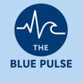 Profile picture thebluepulse25.bsky.social
