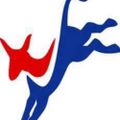 Profile picture florareadems.bsky.social