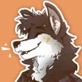Profile picture lumenumbra231.bsky.social