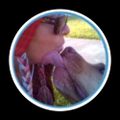 Profile picture korn2005.bsky.social