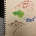 Profile picture shrimpalfredo.bsky.social