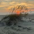 Profile picture obxtruenative.bsky.social