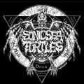 Profile picture sonicseaturtles.bsky.social
