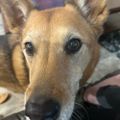 Profile picture worriedresister.bsky.social
