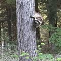 Profile picture muskoka411.bsky.social