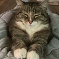Profile picture msmoe59.bsky.social