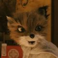 Profile picture hellhoundbitch.bsky.social