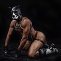 Profile picture doggoraeko.bsky.social