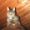 Profile picture renatekrenz.bsky.social