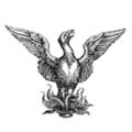 Profile picture srsrensoc.bsky.social